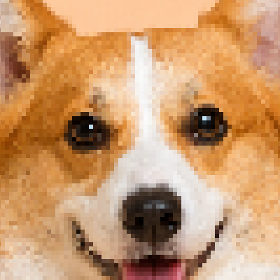 Close-up of the corgi pixel art at pixel size 6